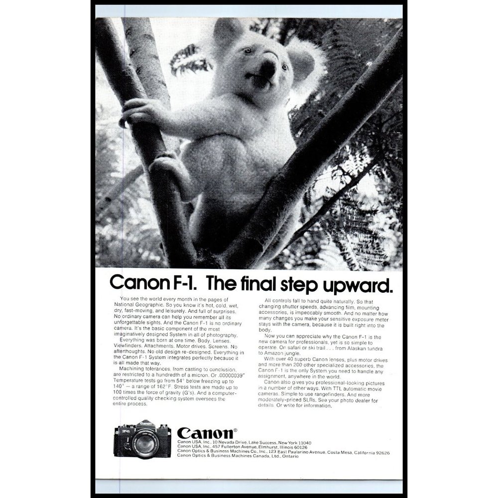 1974 Canon F-1 SLR Film Camera Vintage Print Ad Koala Australia Wall Art Decor